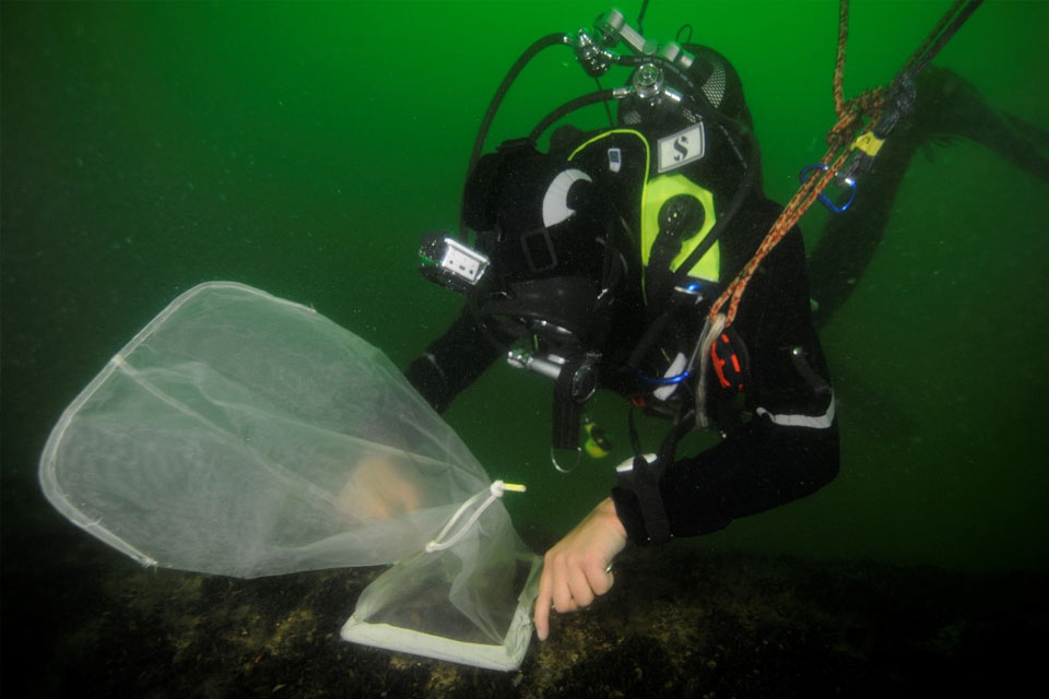 Taucher im Einsatz unter Wasser